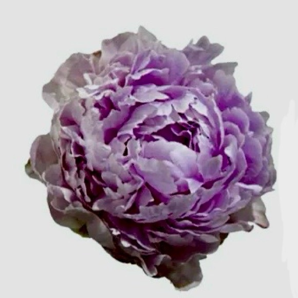 purplepeony7777